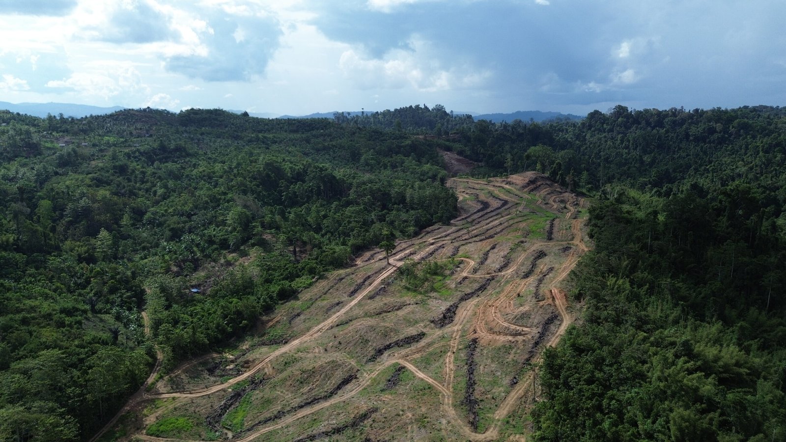 Lahan Gusuran PT. Tiran di UPT Roda